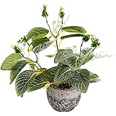 Giftale 12.8'' Artificial Hoya Vine Plant in Rustic Black Cement Pot, Realistic Faux Leaf Potted Plant for Indoor Home Office Bathroom Living Room Shelf Tabletop Decoration, No Watering Needed