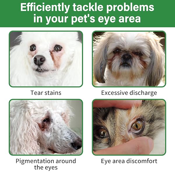 GJYC PET 3.2 INCH DOG EYE WIPES – TEAR STAIN REMOVER FOR DOGS, GENTLE FORMULA FOR CATS AND DOGS, QUICK CARE FOR BRIGHT FUR, THICK, SOFT AND SKIN-FRIENDLY, LARGE SIZE, 120PCS
