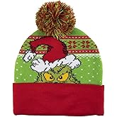 Bioworld Dr. Seuss The Grinch Who Stole Christmas Hat Peeking Character Pom Beanie Cap Licensed New