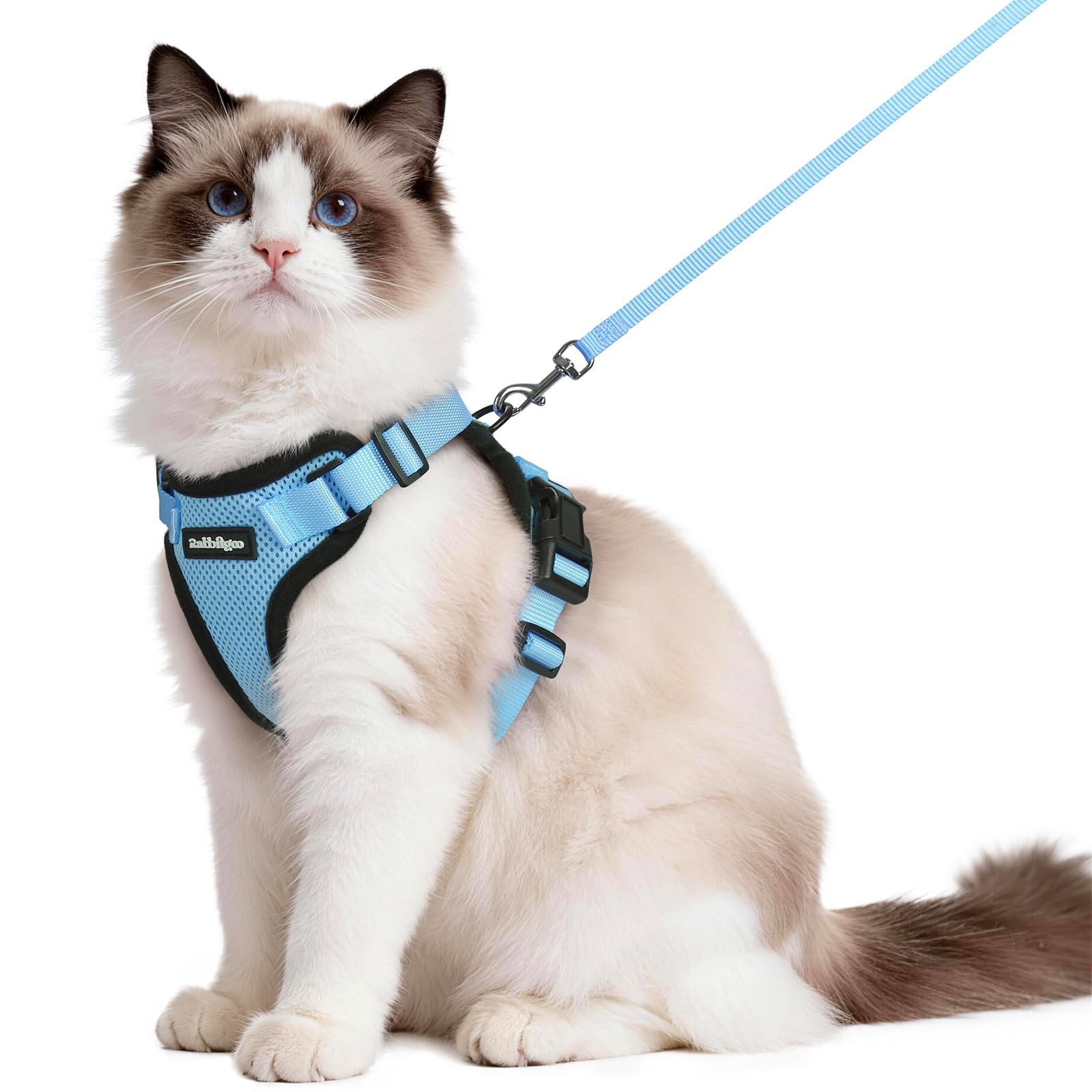 rabbitgoo Cat Harness and Lead Set, Adjustable Escape Proof Cat Lead for Walking, Reflective Kitten Harness Set, Soft and Comfortable for Medium to Large Cats, Sky Blue, M