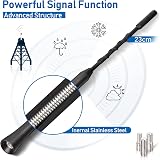 Eightwood Universal Car Antenna Replacement DAB AM/FM Roof Mast 23cm view 2