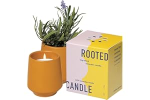 Modern Sprout Rooted Candle - 2 in 1 Cedarwood Scented & Soy Candle with Seeds That Grows into Lavender Plant - 6 oz w/ 42 hr Burn time in Matte Glaze Ceramic Vessel Ideal for Indoor Herb Garden