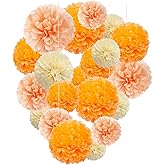 Capesaro Orange Paper Pom Poms - Peach Tissue Pom Poms Decorations for Party Hanging Decor - 15 Piece Set