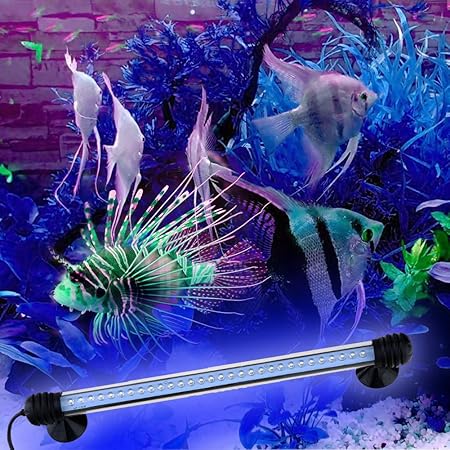 aqua 30 led fish tank