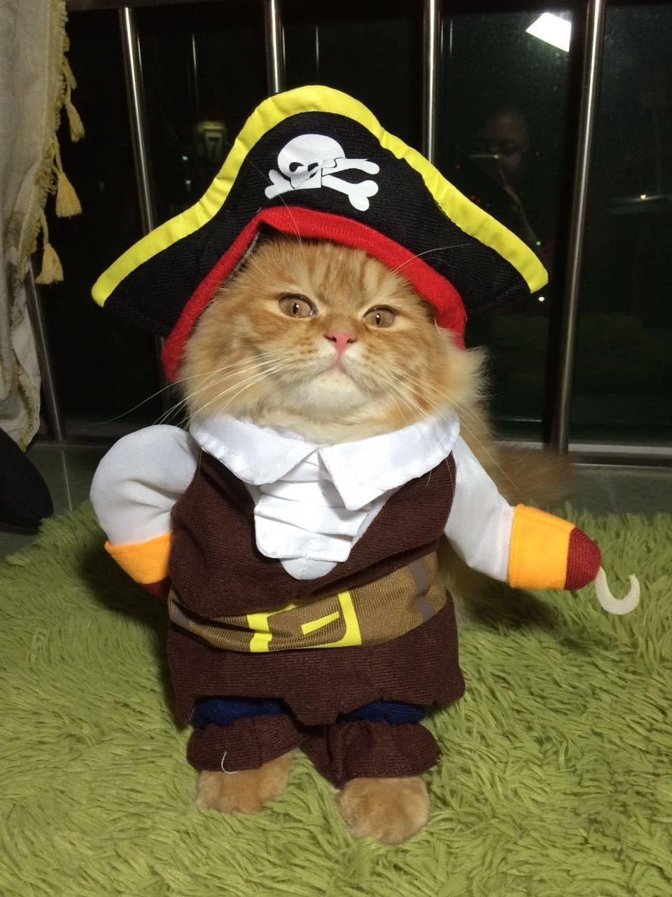 Hong Fashion Pirates of the Caribbean Design Dog Clothes Costume for Dogs and Cats