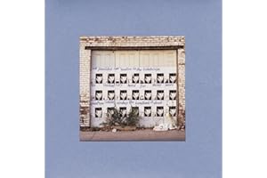 Goodbye Enemy Airship The Land Is Dead (Vinyl)