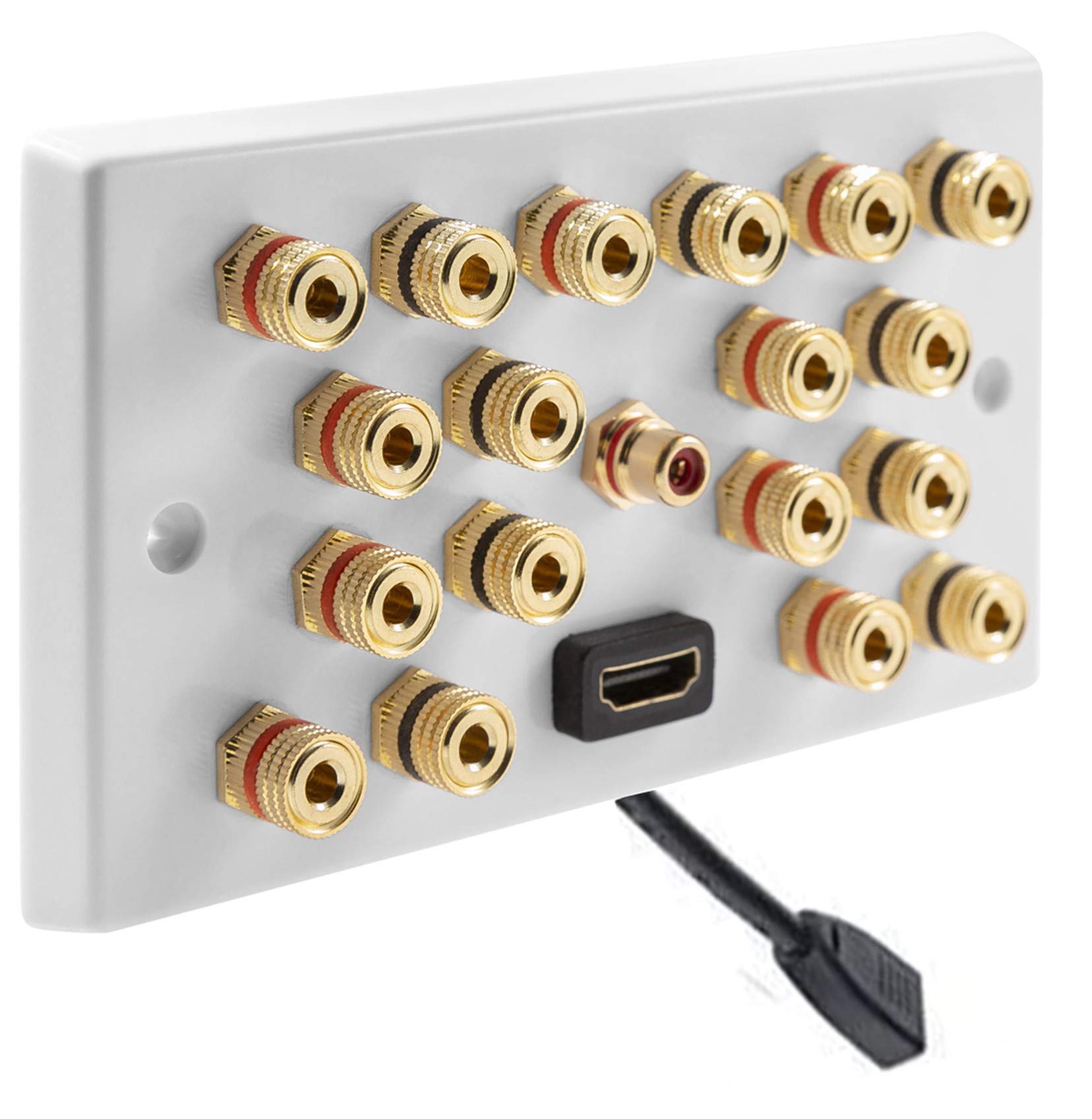 MSG Custom Audio 9.1 Surround Sound Speaker Wall Plate with Gold Binding Posts + 1 x RCA Socket + 1 x HDMI FLEXIBLE FLYLEAD. NO SOLDERING REQUIRED