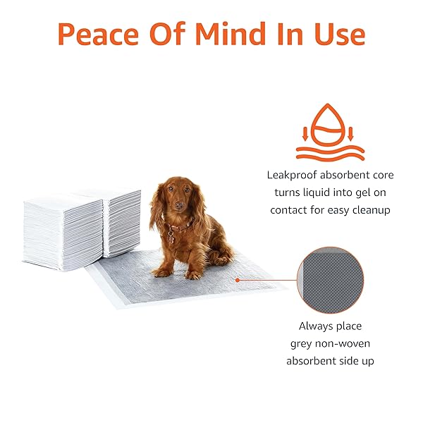 AMAZON BASICS DOG AND PUPPY PEE PADS WITH 5-LAYER LEAK-PROOF DESIGN AND SUPER ABSORBENT SURFACE FOR POTTY TRAINING, ODOR-CONTROL CARBON, REGULAR SIZE, 22 X 22 INCH – PACK OF 80, GRAY
