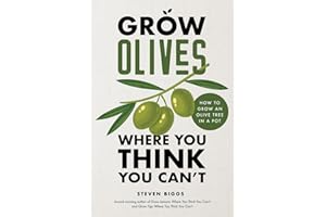 Grow Olives Where You Think You Can’t: How to Grow an Olive Tree in a Pot