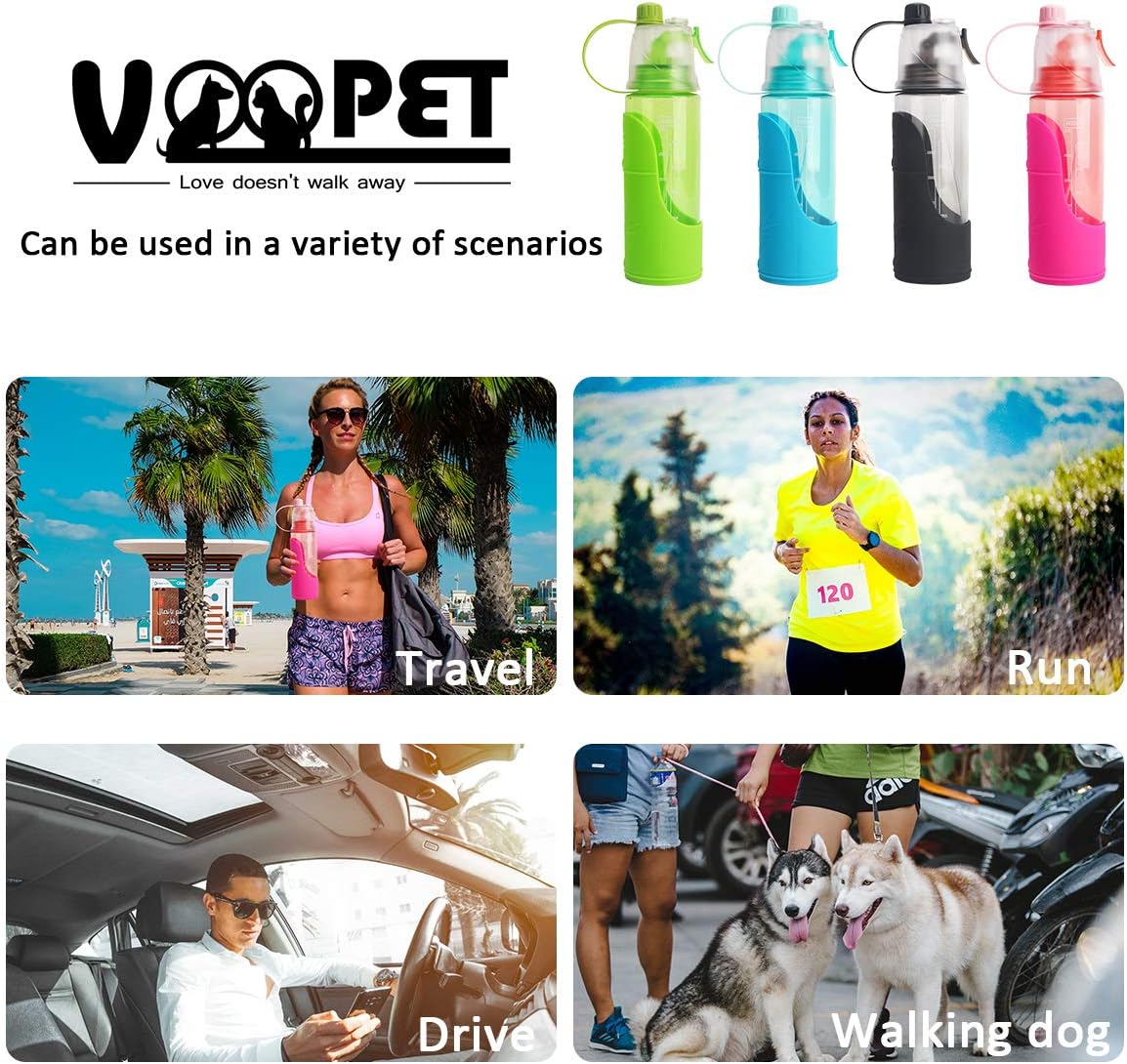 spray dog with water bottle