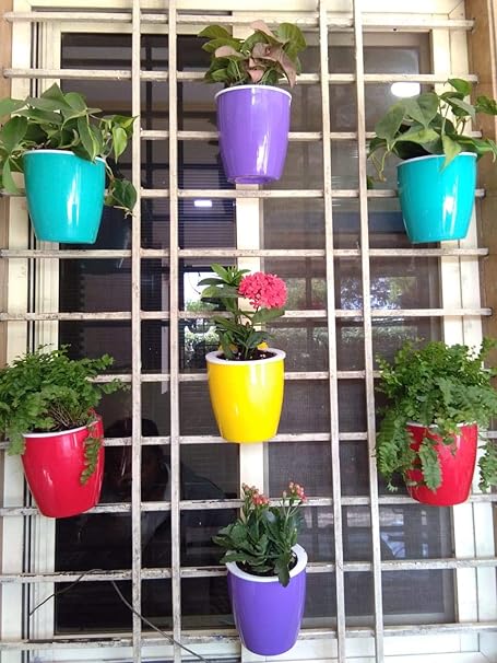 CAPPL Self Watering Hanging Planters (Multi Color, Pack of 25)