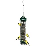 Squirrel Buster Finch Squirrel-proof Bird Feeder w/4 Metal Perches & 8 Feeding Ports, 2.4-pound Thistle/Nyjer Seed Capacity