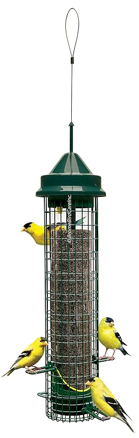 Brome Bird Care Squirrel Buster Finch Feeder Patented Seed