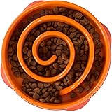 green interactive feeder