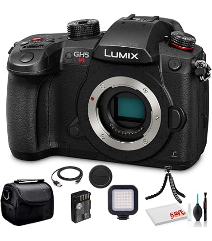 Amazon.com : Panasonic LUMIX GH5S Body 4K Digital Camera, 10.2