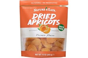 NATURE'S EATS Nature's Eat Sun Dried Turkish Apricots - Dried Apricots Organic, Healthy Fruit Snacks for Adults & Kids - No Sugar Added - Gluten Free & Vegan - Resealable Bag 10 Ounce (Pack of 1)