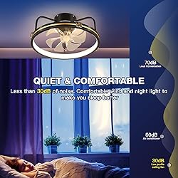 ZOGOOR 19.6'' Ceiling Fans with Lights
