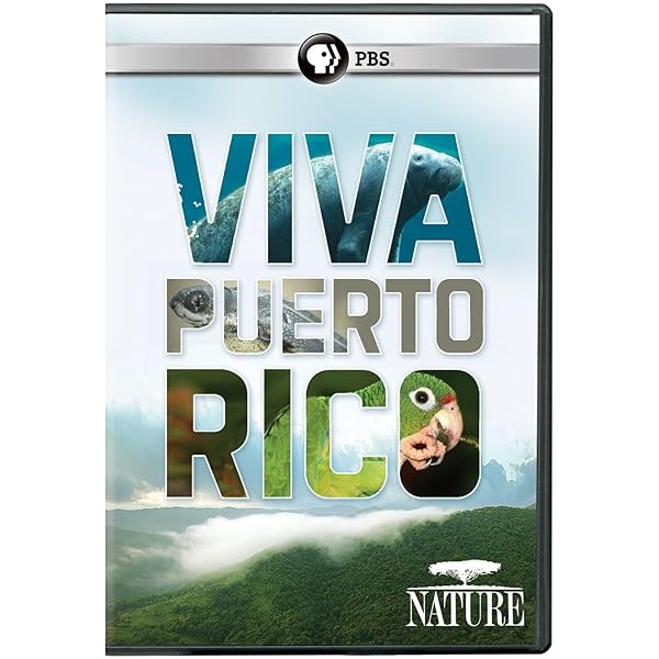 その他 Live in Puerto Rico [DVD] DVD 470 – 473- Los VanVan – Live in Puerto Rico – Radio Universidad