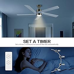 WINGBO 54 Inch DC Ceiling Fan with Lights and