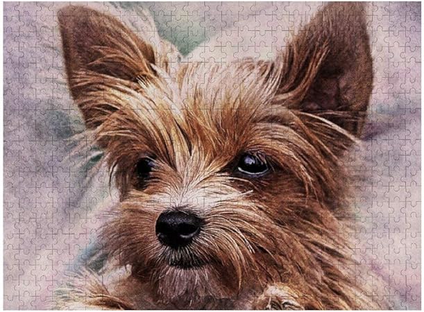 yorkie puzzles