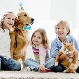 Fantasyon Dog Birthday Hat with Bow Tie Blue Number Reusable Party Accessory view 7
