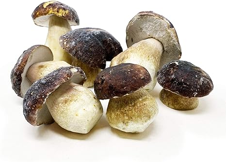 Scherini valtellina - funghi porcini interi surgelati - calibro medio - selezione a 1kg B081VJRSYF