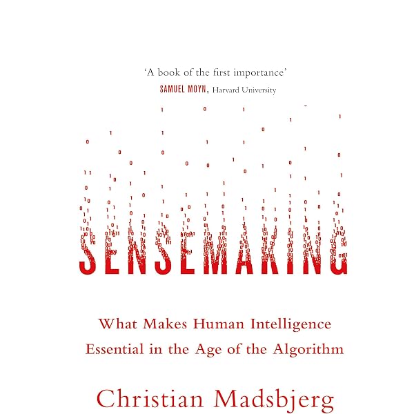 Sensemaking in Organizations (Foundations for Organizational
