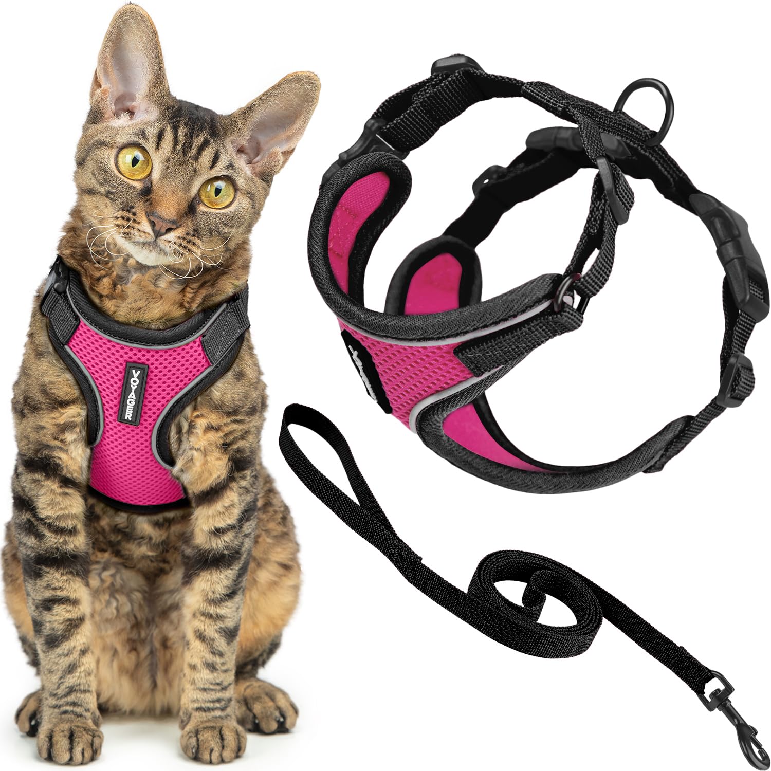 Voyager Katzengeschirr und Leine, Set mit reflektierenden Nähten, Neoprengriff, 1,5 m – unterstützt kleine, mittelgroße und große Katzen, Kätzchen zum Spazierengehen von Best Pet Supplies – Schwarzer