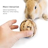 CAMITER 9 Pcs Rabbit Chew Toys Small Animal Grass Balls Rolling Toys view 4