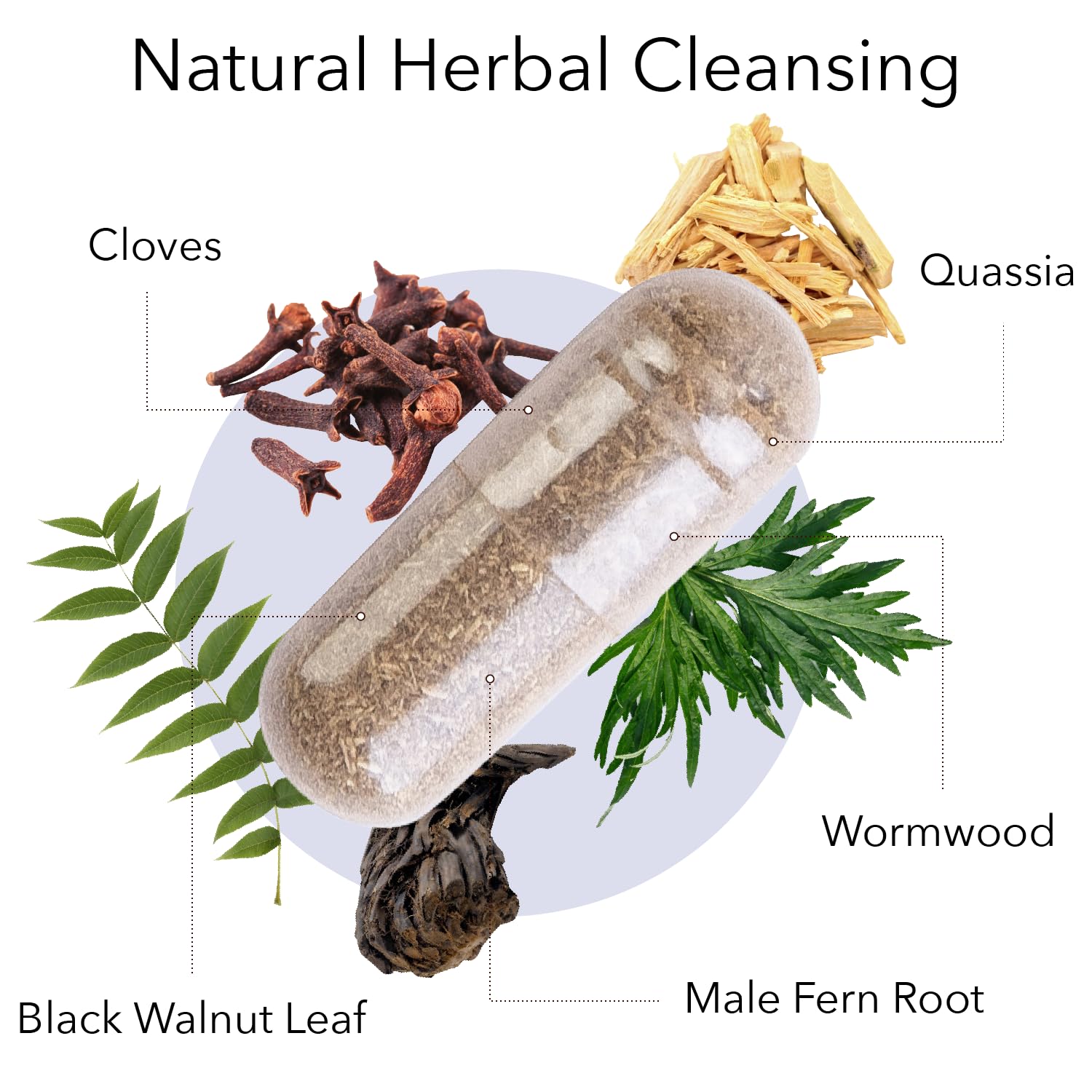Kroeger Herb Products, Wormwood Herb, Black Walnut, Clove, Quassia, Worm Wood Detox Cleanse - Vegetarian Capsules, Non-GMO, Gluten Free, No Preservatives or Fillers - 100 Capsules, Made in USA