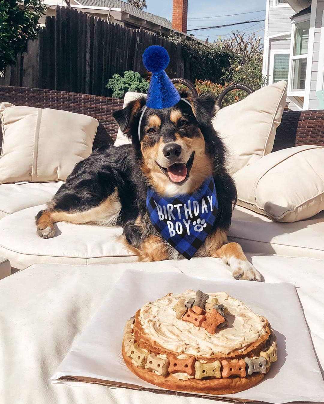 JPB Dog Birthday Party Supplies, Pet Birthday Hat and Boy Doggy Birthday Bandana Set : Pet Supplies