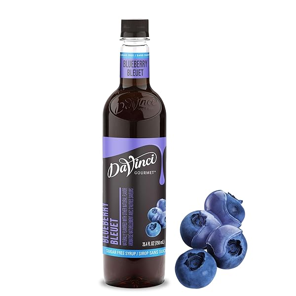 DAVINCI GOURMET SUGAR-FREE BLUEBERRY SYRUP, 25.4 FLUID OUNCES (PACK OF 1)