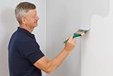 ProDec 6 inch Trade Professional Wall Brush for Emulsion Paint on Walls view 6