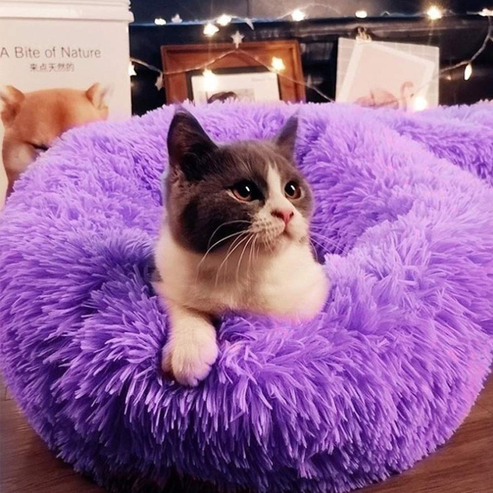 purple pets dog bed