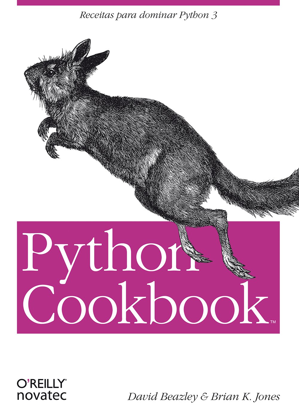 Python Cookbook PDF David Beazley, Brian K. Jones