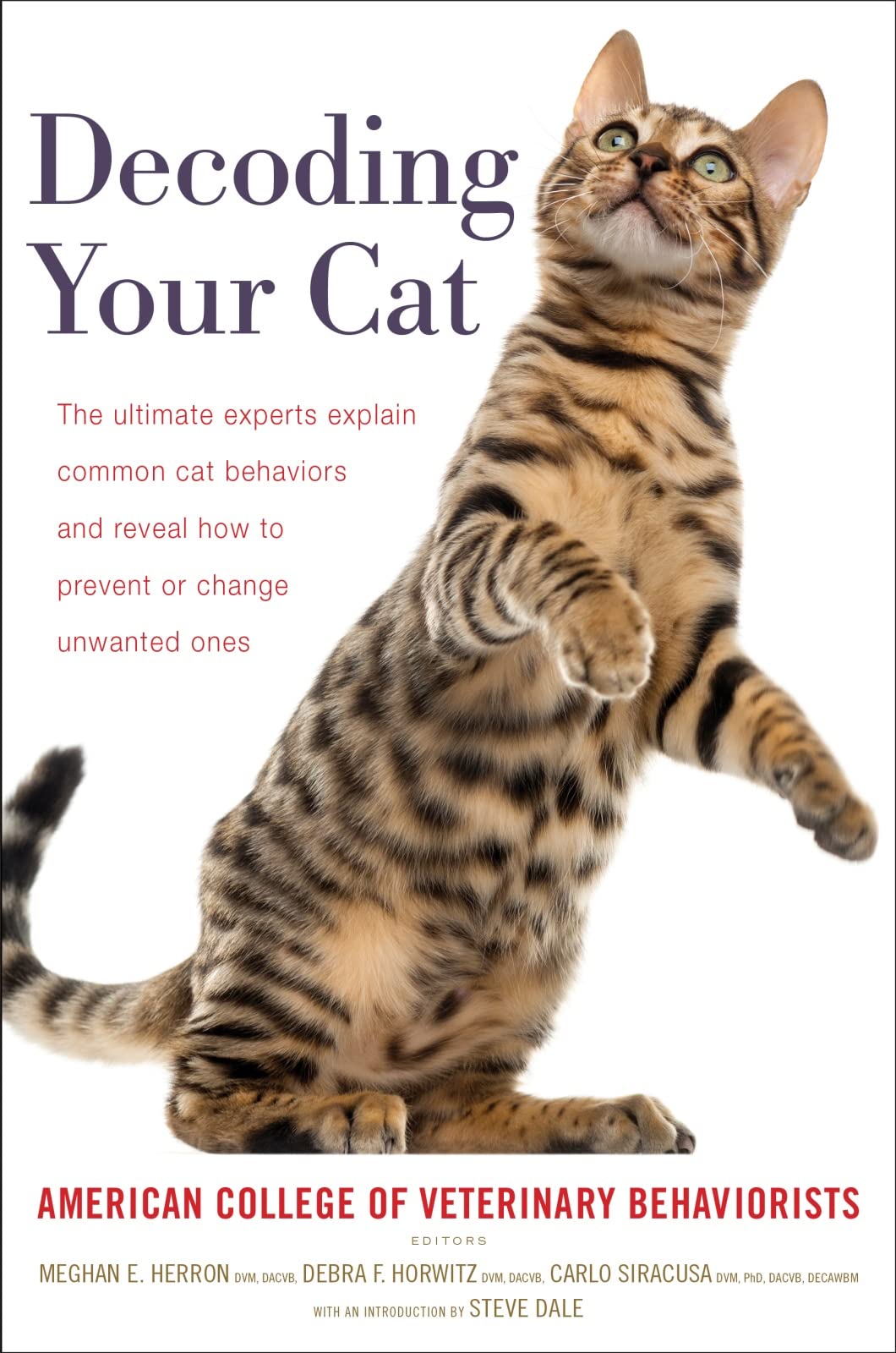 Decoding Your Cat: The Ultimate Experts Explain