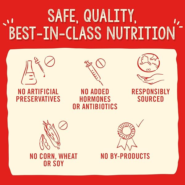 STELLA & CHEWY’S FREEZE DRIED RAW CAGE-FREE CHICKEN MEAL MIXERS – SUPERBLENDS DOG FOOD TOPPER – GRAIN FREE, PROTEIN RICH RECIPE – 16 OZ BAG