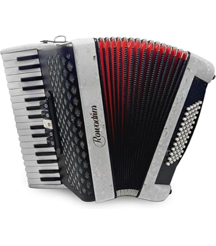 こ*ぬ様 アコーディオン Roland FR-1x (ソフトケース付) Amazon.com: Roland FR-1X Premium V-Accordion Lite with 26 Piano