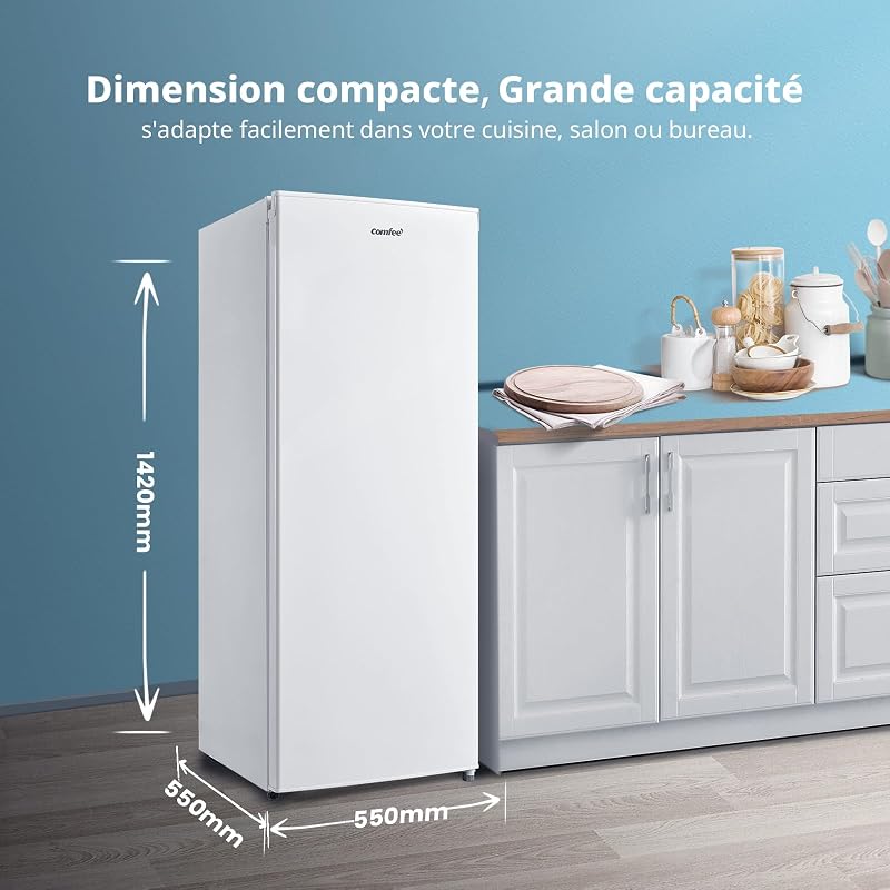 ' 160L Congélateur Armoire, Réglage de la température, Blanc