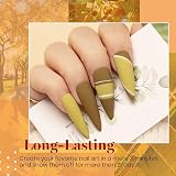 Beetles Gel Polish 23 Pcs Fall Festival Set 20 Colors Base Top Coats view 4