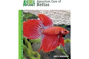 Aquarium Care of Bettas (Animal Planet Pet Care Library)