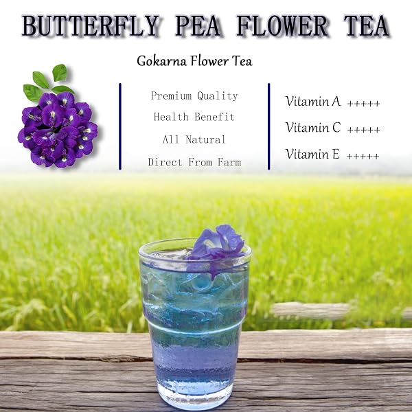 BUTTERFLY PEA FLOWER TEA BAGS – GOKARNA FLOWER TEA, TRANSPARENT TRIANGLE TEABAG, PREMIUM DRIED BUTTERFLY PEA FLOWERS, 100% NATURAL | NO SUGAR | NO CAFFEINE | NO GLUTEN | VEGAN 2.82OZ (1)