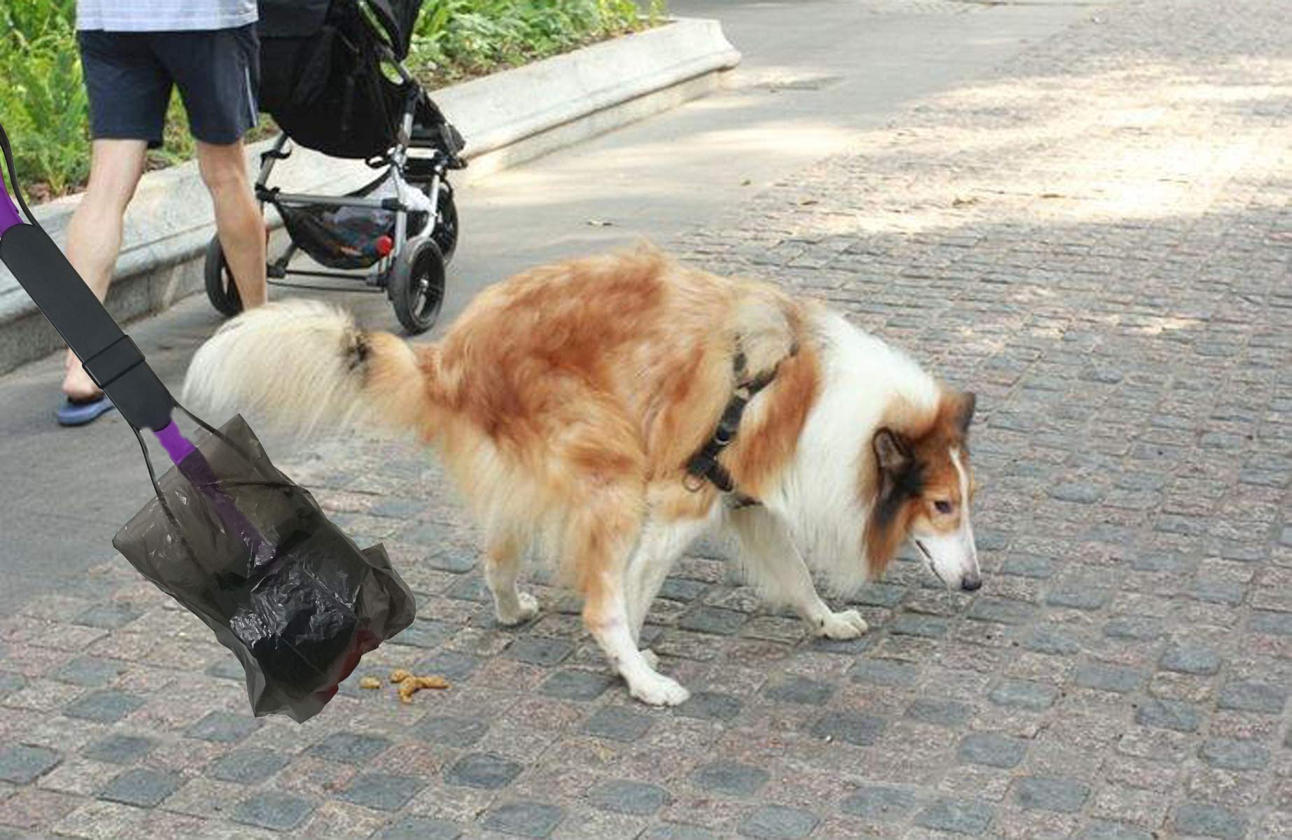 24 Inch Long Handle Pet pooper scooper and Bags for Dogs --- Easy Clean Up Defecate for All Pets (Purple)