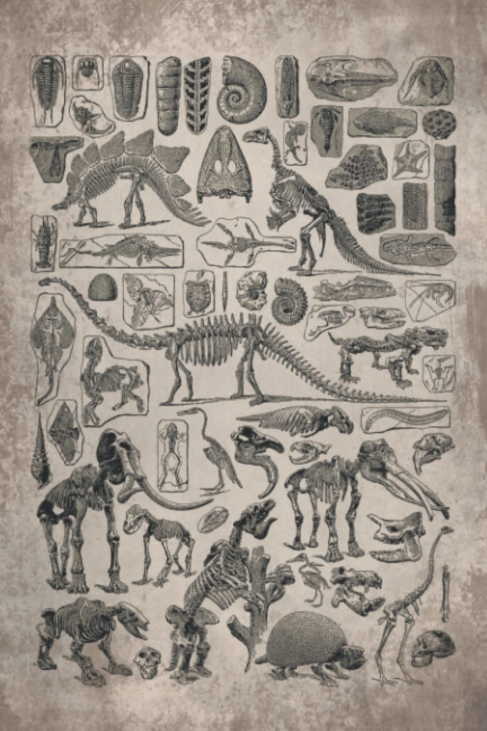 Paleontology Notebook: Vintage paleontology fossil print included Dinosaurs, Blank Lined notebook, Planner Journal, To do list notebook, Daily Organizer, 6 x 9 inch, 110 pages