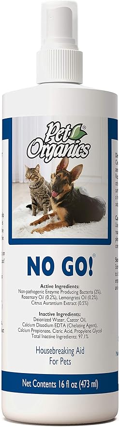 dog clinic in indirapuram