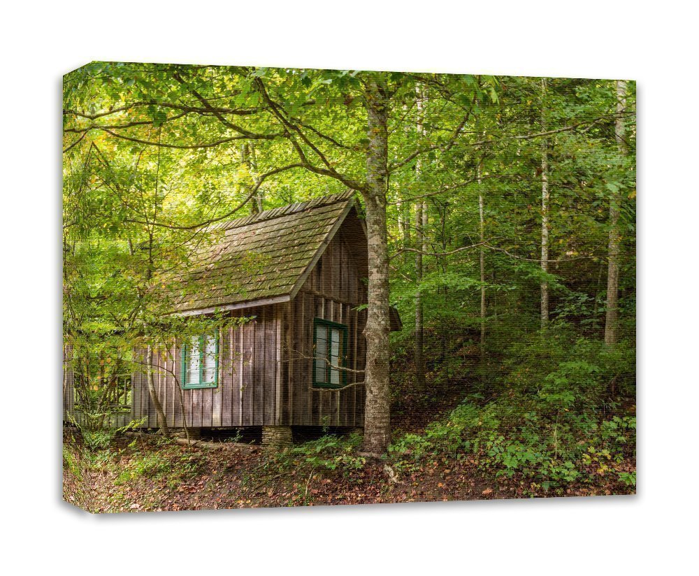 Amazon Com Whittleton Cabin Photo Wall Decor Architecture Art