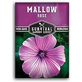 Rose Mallow Flower Seeds for Planting - Survival Garden Seeds (1 Pack) | Annual Lavatera Trimestris with Bright Pink Flowers for Easy Cottage Garden Blooms - Drought Tolerant Heirloom