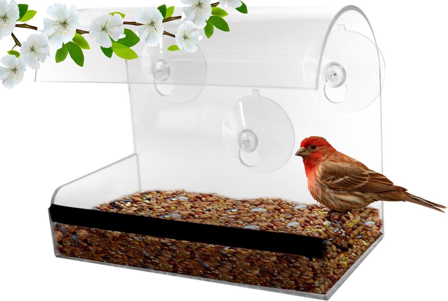 Amazon Com Shopn5 Window Bird Feeder Bird Feeders For Outside