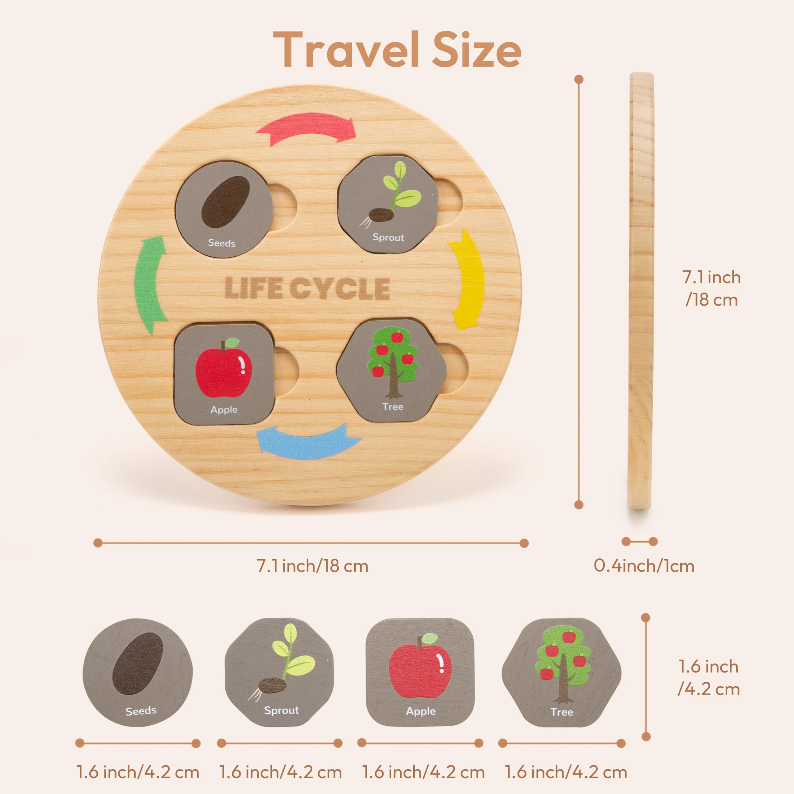 Life Cycle Toys for Kids, 12 Themes Montessori Preschool Science Center Materials, Wooden Learning & Educational Toys for Toddlers, Learning Game Travel Gift STEM Toys for Boys Girls Age 3-6