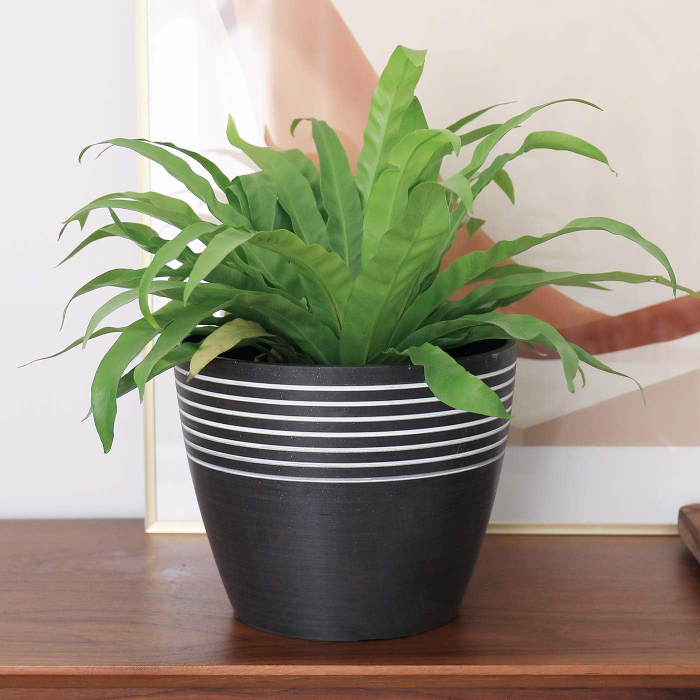 LA JOLIE MUSE Indoor Planter Flower Pot - Plant Pots for Indoor and Outdoor Plants, Contemporary Chic Planter with Stripe Pattern, 9.4 Inch, Charcoal & White : Garden & Outdoor